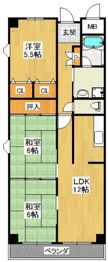 ソシア７の間取り