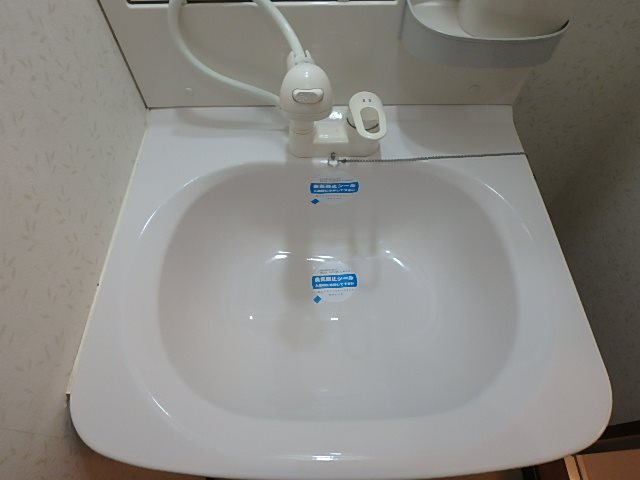 サンフラワー 