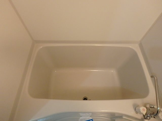 サンフラワー 