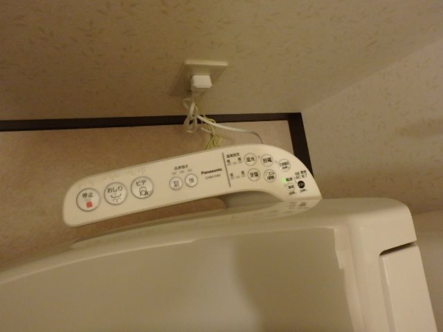 サンフラワー 