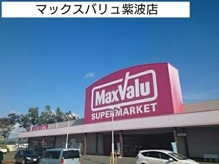 ニューウィングＡの周辺|マックスバリュ紫波店まで1100m