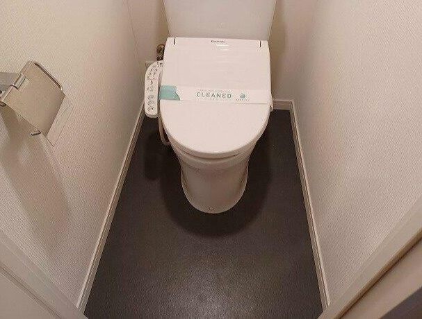 ダイアパレス池尻大橋 のトイレ