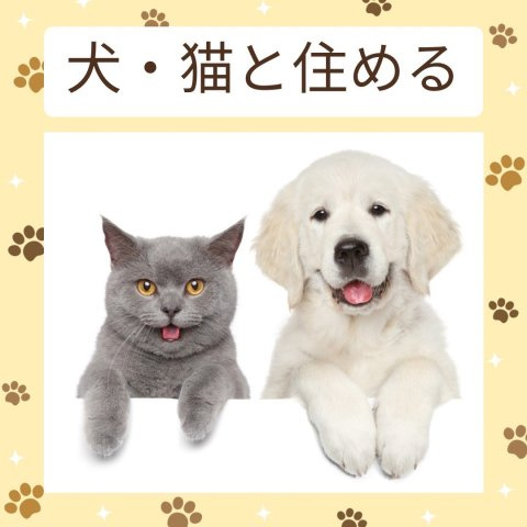 VILLの内装