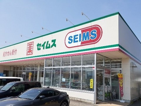 ピース・有沢の周辺|セイムス羽根店まで1100m