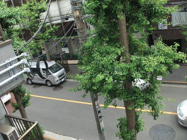 Ginkgo Aveの展望