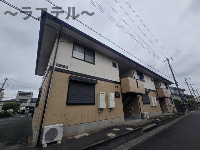 セントポーリア