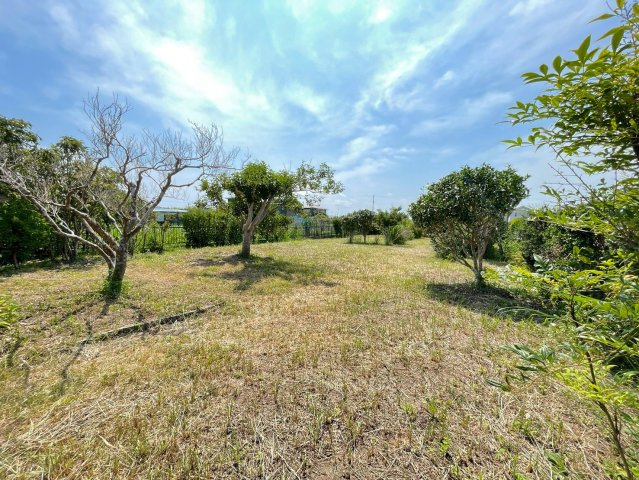 長生郡一宮町一宮　中古戸建の庭|2026年7月31日撮影