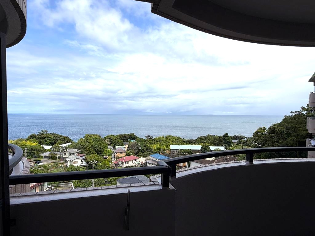 ペット相談可・目の前に海が広がる1LDKの展望|天気の良い日は大島も望めます