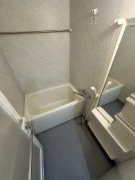 ニューシティアパートメンツ亀戸の浴室
