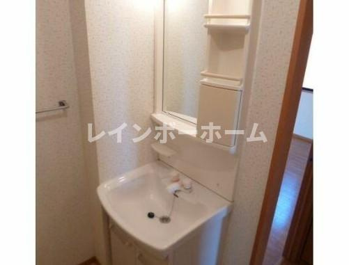 エントピアAの洗面所