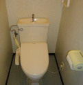 ベルフォーレ白鷺のトイレ|落ち着いたトイレです