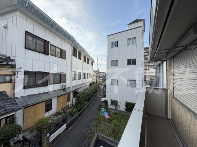 ピンブルコートの展望