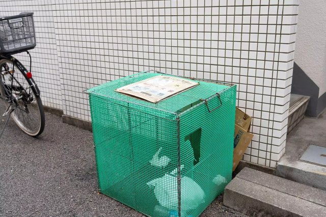 AP995 シティプラザ東新宿 203のその他共用部分|



