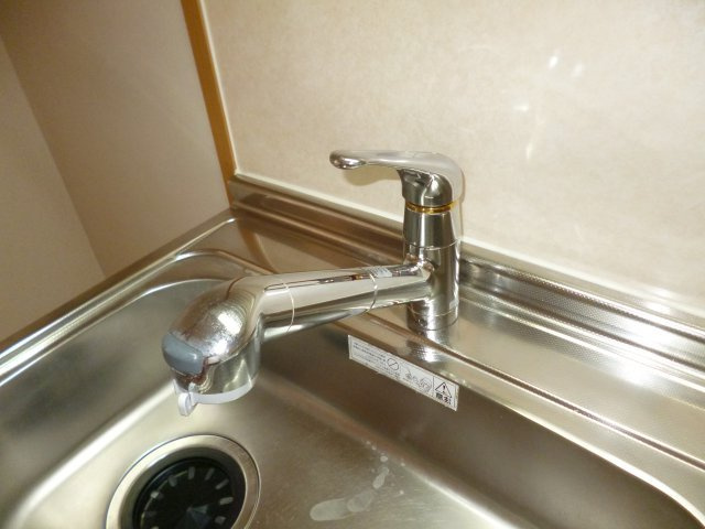 アウローラＢのキッチン|備付浄水器