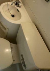 メゾンボア西小山 の洗面所