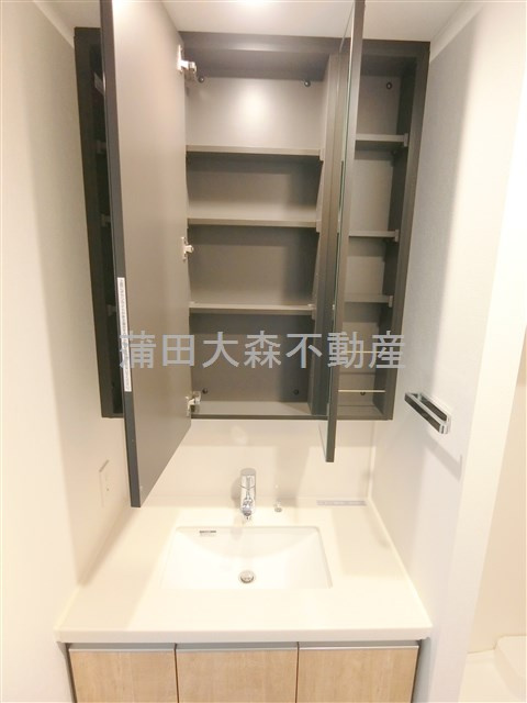 ラティエラ大森西の洗面所