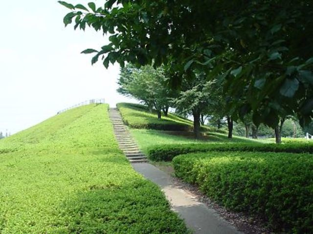 サクラⅡのその他|小金井公園