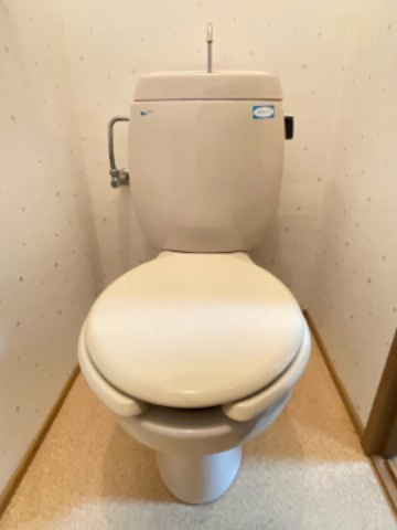 ヘスティアBのトイレ|別部屋同間取りの写真です。