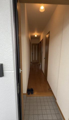 グリーンハイツAの玄関