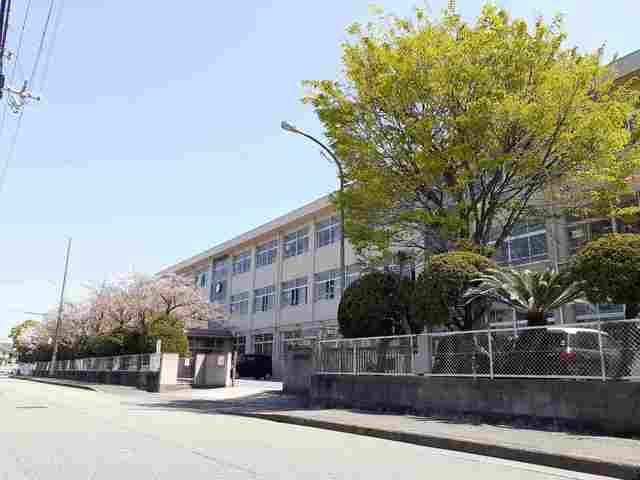 シャンテ　Ａの周辺|鳩里小学校まで1131m