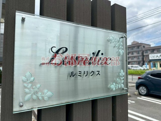 ルミリクスのその他