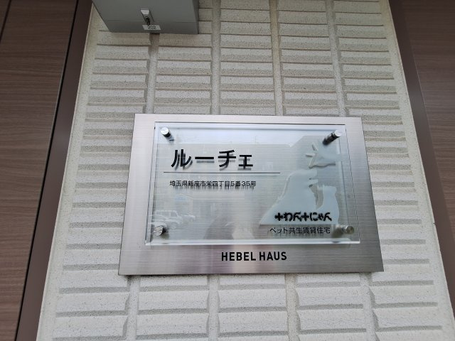 ルーチェのその他
