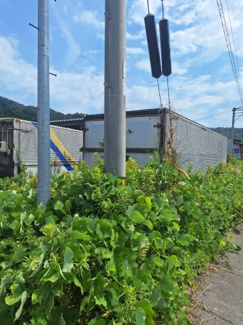 【周辺】 | 岩美町浦富土地