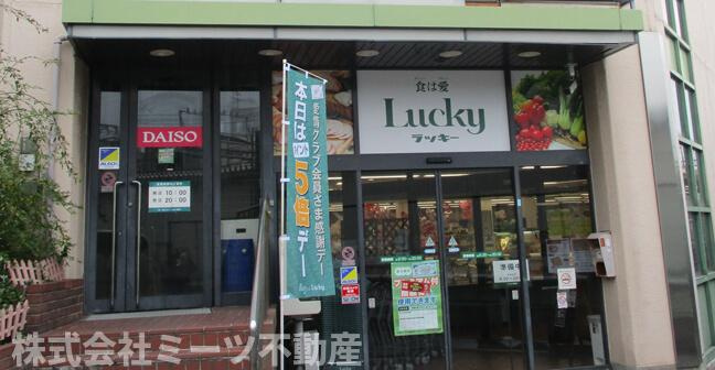 西上小阪　倉庫の周辺|スーパーまで徒歩約4分♪