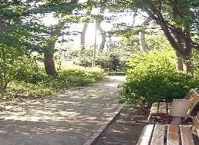 プレミールフジＢ棟のその他|まつぼっくり緑地