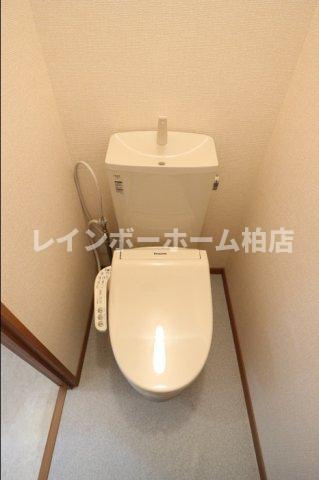 仲介手数料（賃料の1.10ヵ月）の50％OFF対象物件！のトイレ