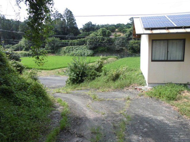 東諸県郡綾町入野の庭