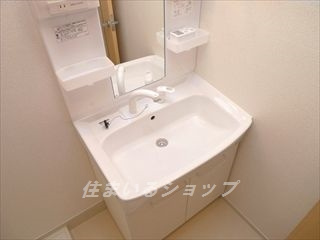 ガーデンハウスⅡの洗面所|シャンプードレッサー