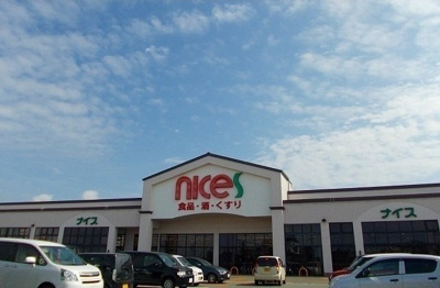 【周辺】 | サニーハウスⅡ | ナイス　仁井田南店まで1200m