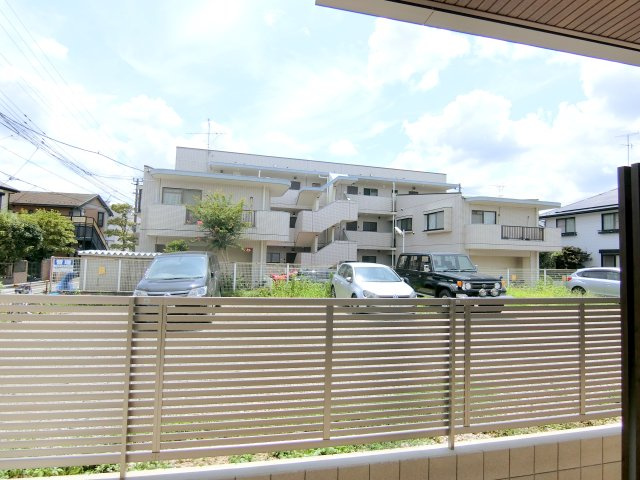 ＭＡＧＮＯＬＩＡの展望