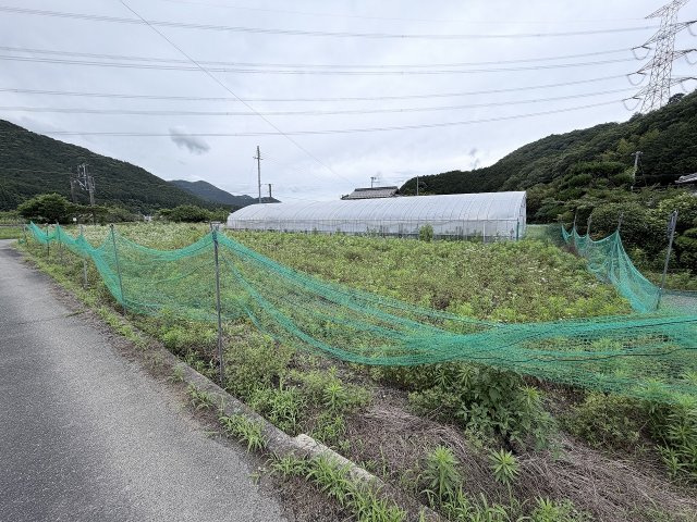 丹波市山南町大河の中古一戸建のその他|農地
