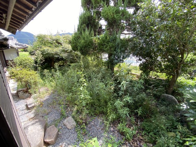 丹波市山南町大河の中古一戸建の庭|前栽