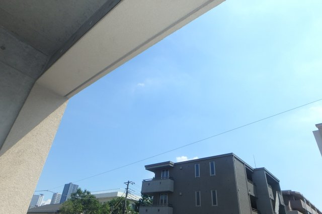 バージュアル武蔵小杉の展望