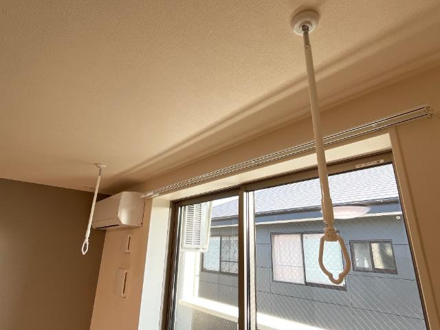 コスモスのその他|室内物干し