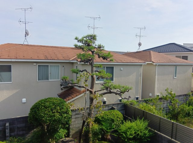 松ノ内町貸家の展望