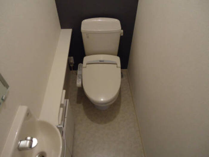 ラ･シェーブル･セゾンのトイレ|落ち着いた色調のトイレです
