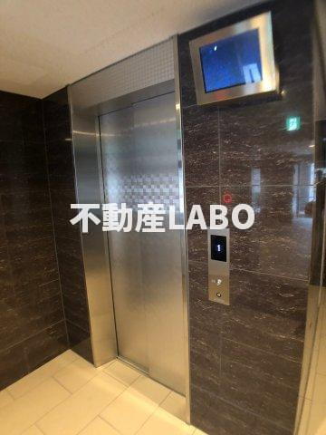 Ms PalazzO UNIVERSALのその他