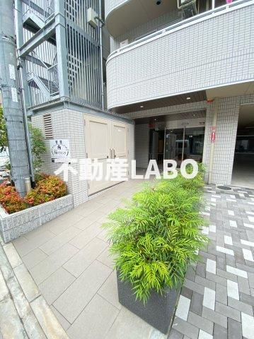 Ms PalazzO UNIVERSALのその他