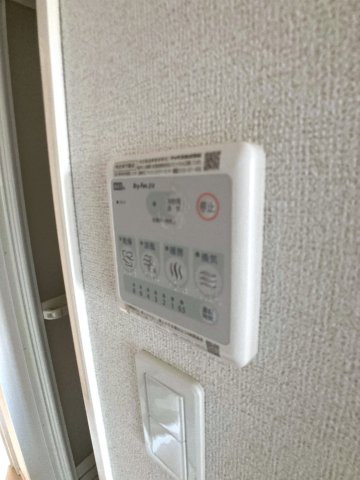 プラシードＶのその他