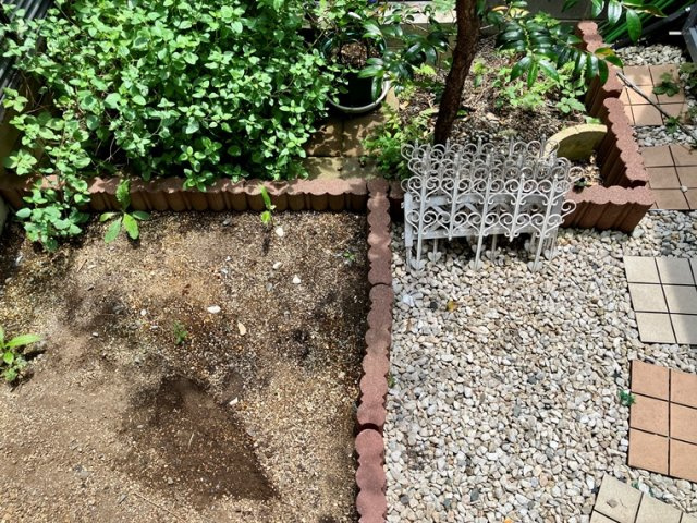 清水戸建の庭|お庭が付いています