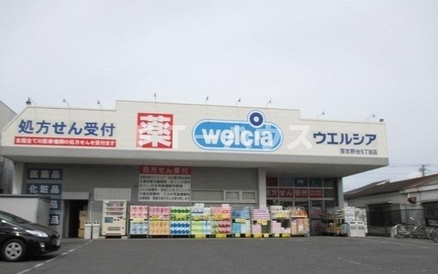 フィオレンティーナのその他|その他