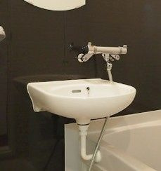 ルーブル早稲田六番館の洗面所