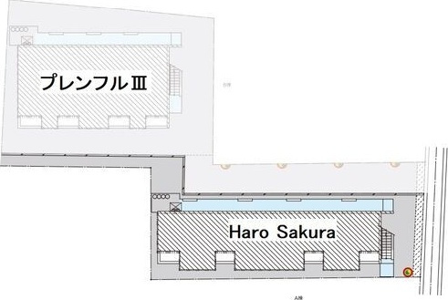 Haro　Sakura(ハロサクラ)のその他