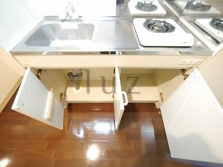 ルレーブ横濱伊勢佐木町のキッチン