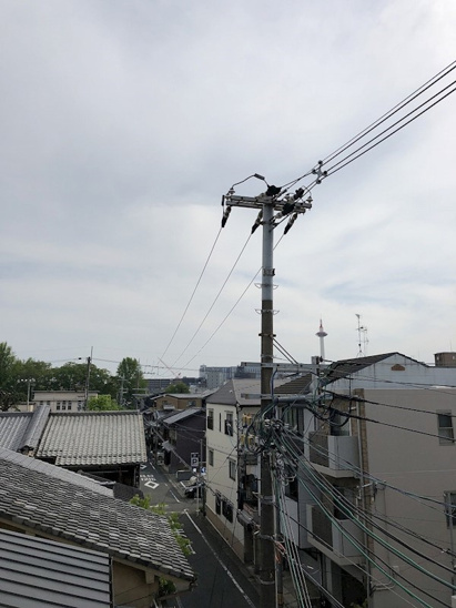 【展望】シボラ六条高倉 