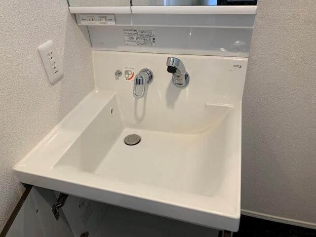 ハーモニーレジデンス池上の洗面所